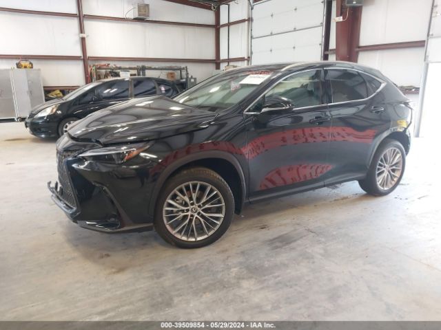 2T2HKCEZ2RC018424 Lexus Nx 350h Luxury