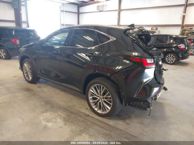 2T2HKCEZ2RC018424 Lexus Nx 350h Luxury