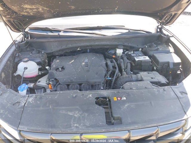 Hyundai TUCSON SEL 2024 5NMJBCDE5RH315668 Image 10
