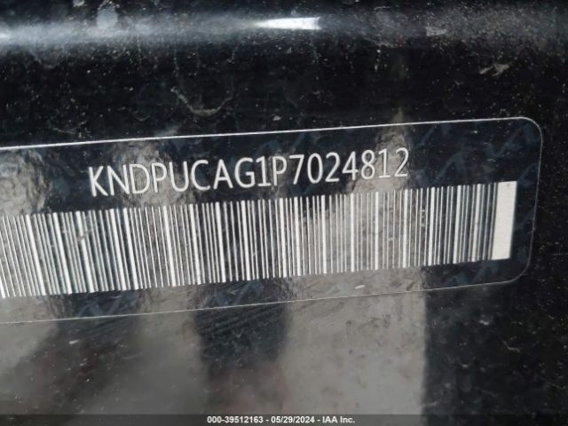 KNDPUCAG1P7024812 KIA Sportage Hybrid Lx