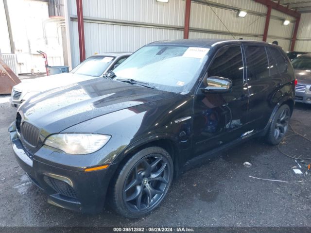 2010 BMW X5 M 5YMGY0C50ALK25668 Photo 1