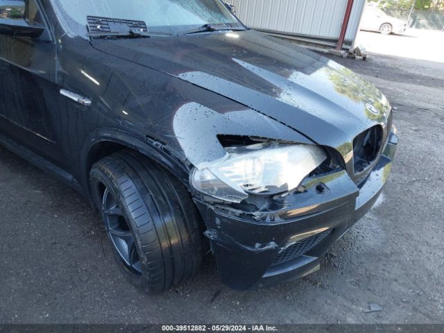 2010 BMW X5 M 5YMGY0C50ALK25668 Photo 5