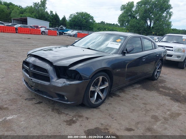 Dodge Charger R/t 100th Anniversary 2014 2C3CDXCT0EH253729 Image 2
