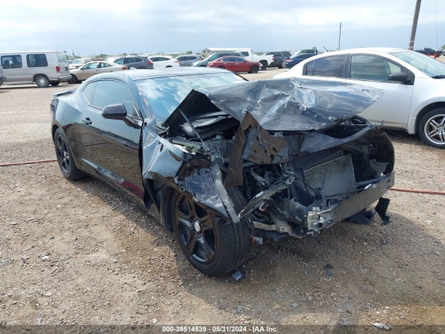 2020 1G1FB1RS7L0105419 main image