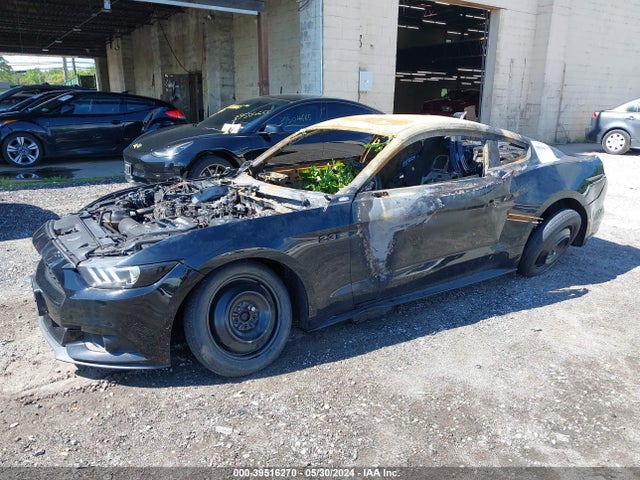 Ford Mustang Ecoboost 2015 1FA6P8TH4F5316072 Image 2