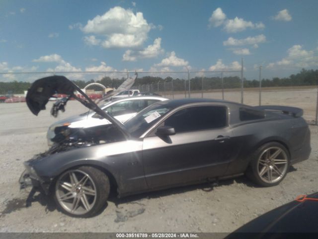 1ZVBP8CF4E5283125 Ford MUSTANG GT