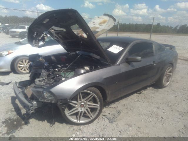 1ZVBP8CF4E5283125 Ford MUSTANG GT