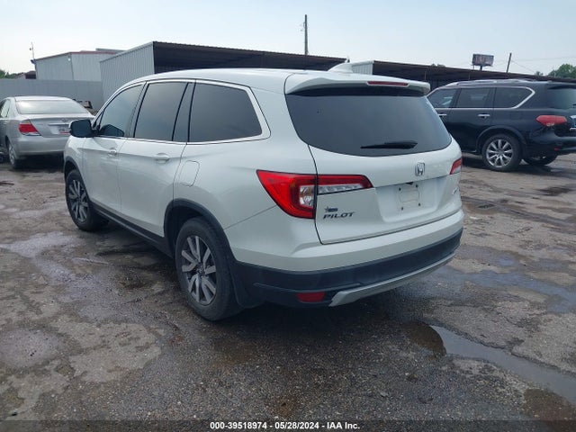 Honda Pilot Ex-l 2019 5FNYF6H55KB081845 Image 3