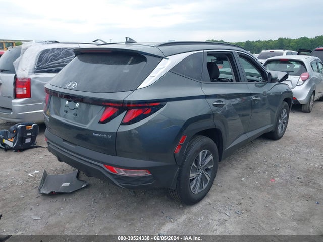 KM8JBCD1XRU194850 Hyundai Tucson Hybrid Blue