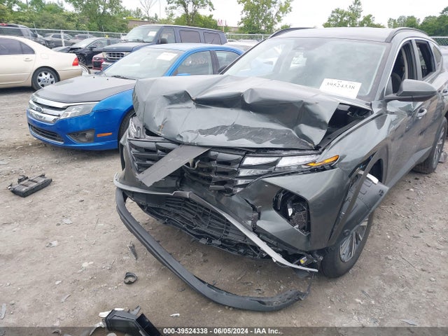 KM8JBCD1XRU194850 Hyundai Tucson Hybrid Blue