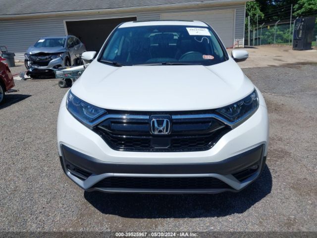 2HKRW2H84LH646175 Honda Cr-v Awd Ex-l