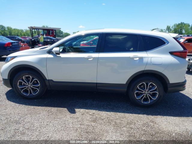 2HKRW2H84LH646175 Honda Cr-v Awd Ex-l