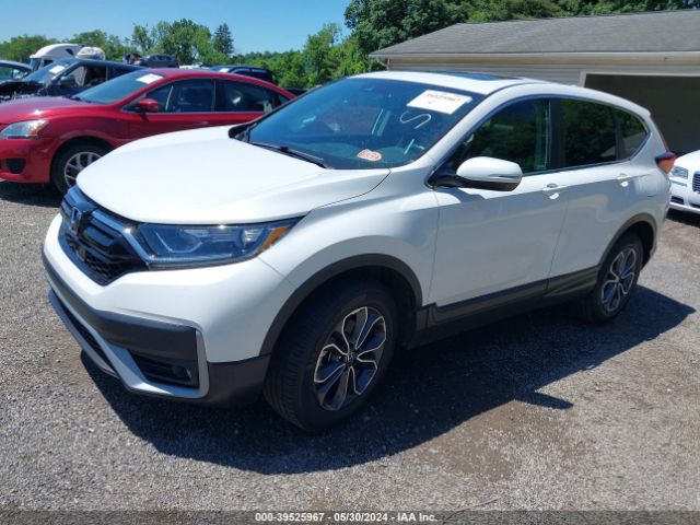2HKRW2H84LH646175 Honda Cr-v Awd Ex-l