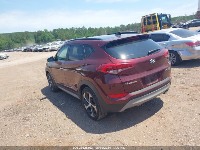 Hyundai Tucson Limited 2017 KM8J3CA28HU372635 Image 3
