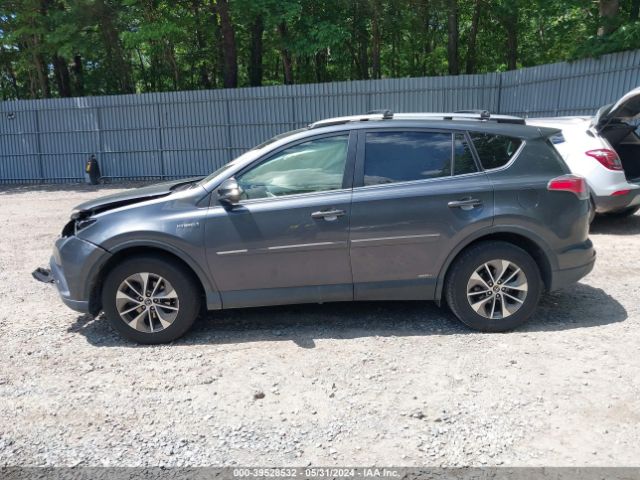JTMRJREV6HD102842 Toyota Rav4 Hybrid Xle