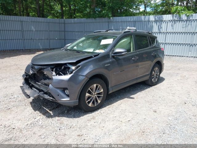 JTMRJREV6HD102842 Toyota Rav4 Hybrid Xle