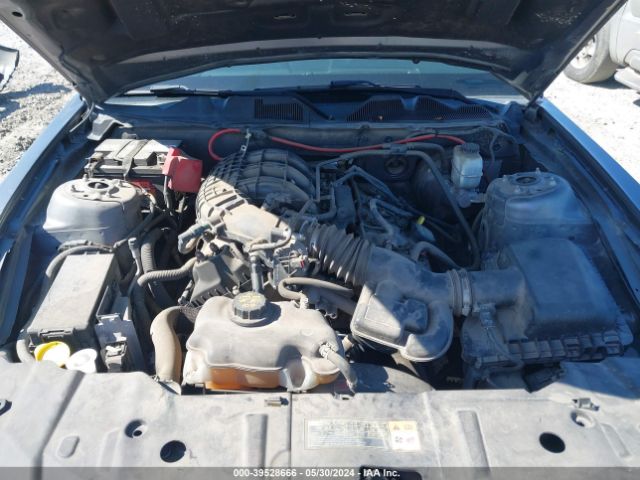 1ZVBP8AM7E5249343 Ford Mustang V6