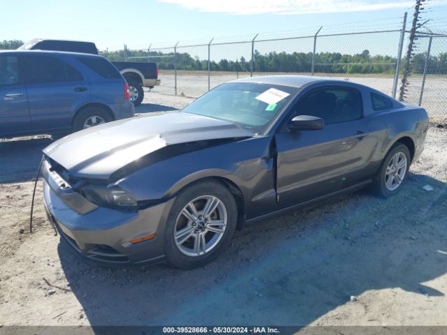 1ZVBP8AM7E5249343 Ford Mustang V6