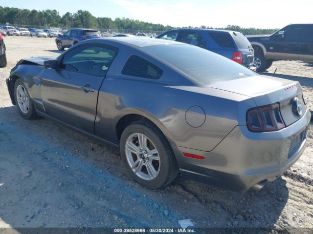 1ZVBP8AM7E5249343 Ford Mustang V6