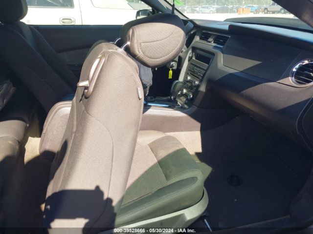 1ZVBP8AM7E5249343 Ford Mustang V6