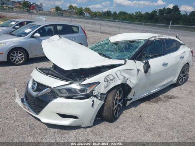 1N4AA6AP0HC391148 Nissan Maxima 3.5 Sv