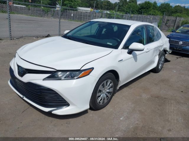 4T1B31HK9KU511581 Toyota Camry Hybrid Le