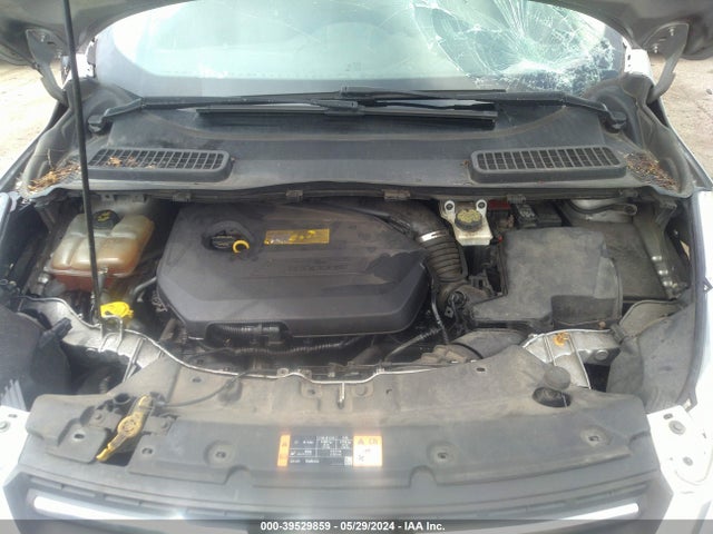Ford ESCAPE SE 2016 1FMCU0GX2GUC87280 Image 10
