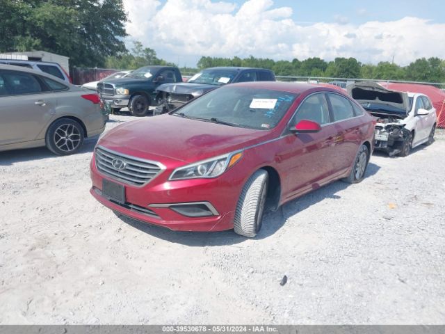 5NPE24AF0GH414869 Hyundai SONATA SE