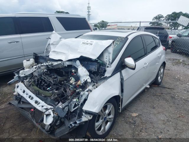 1FADP3K25EL163509 Ford FOCUS SE