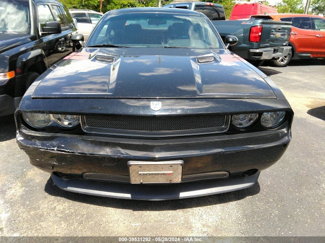 Dodge Challenger Sxt 2014 2C3CDYAG1EH311178 Image 12