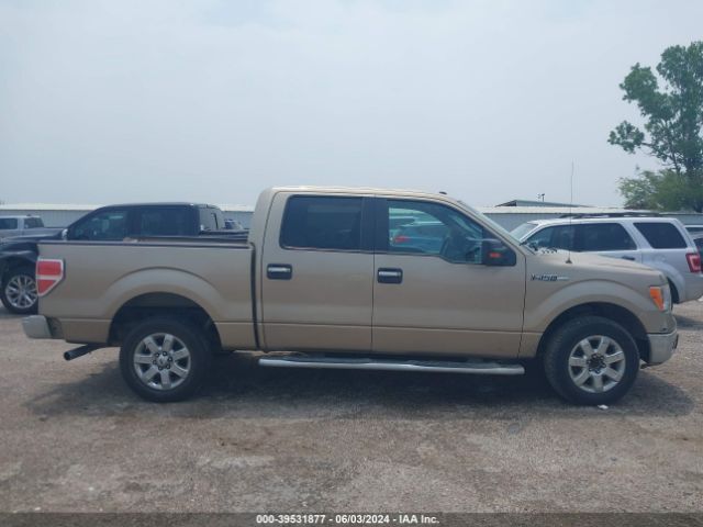 1FTEW1CMXEFB84358 Ford F-150 Xlt