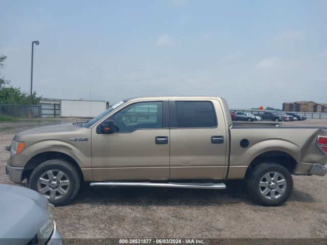 1FTEW1CMXEFB84358 Ford F-150 Xlt