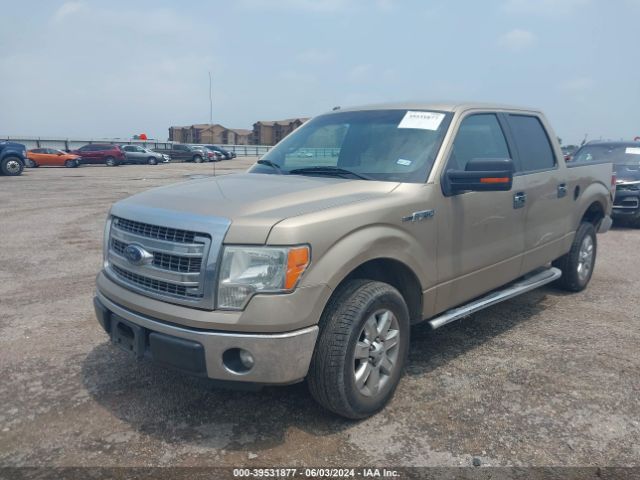 1FTEW1CMXEFB84358 Ford F-150 Xlt