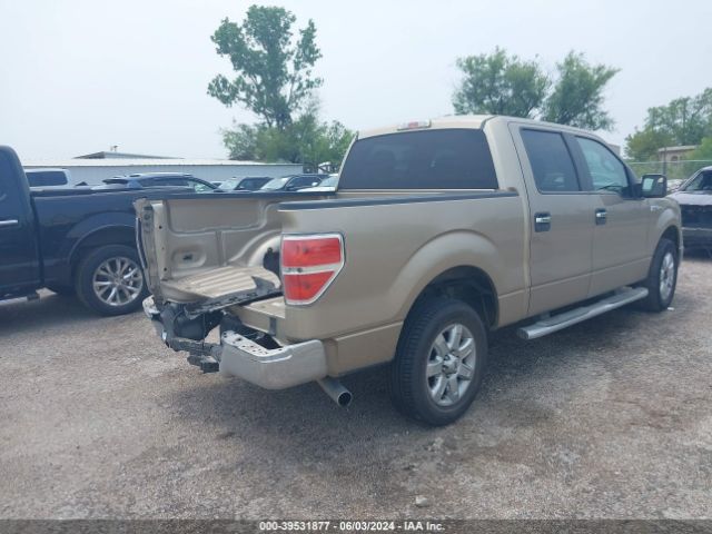 1FTEW1CMXEFB84358 Ford F-150 Xlt