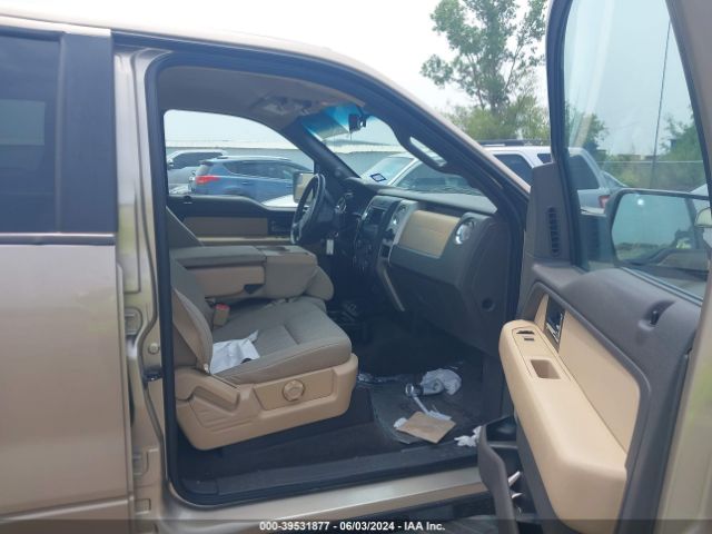 1FTEW1CMXEFB84358 Ford F-150 Xlt