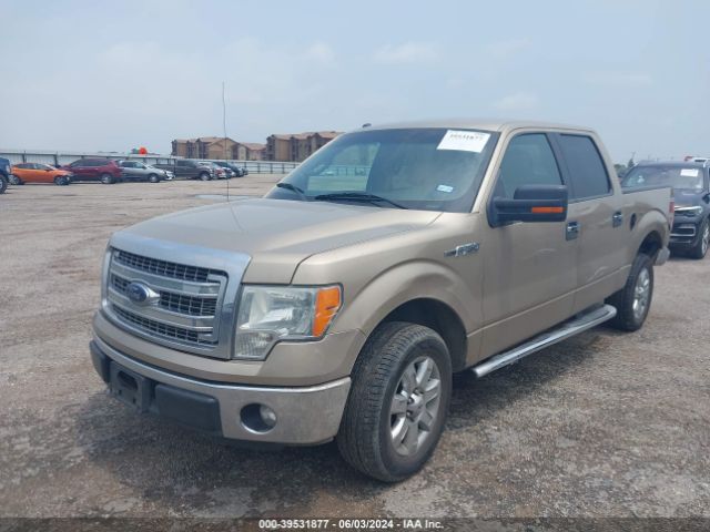 1FTEW1CMXEFB84358 Ford F-150 Xlt