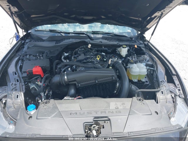 Ford Mustang Ecoboost Fastback 2024 1FA6P8TH9R5106801 Image 10