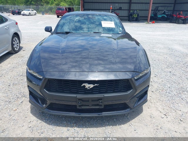 Ford Mustang Ecoboost Fastback 2024 1FA6P8TH9R5106801 Image 12