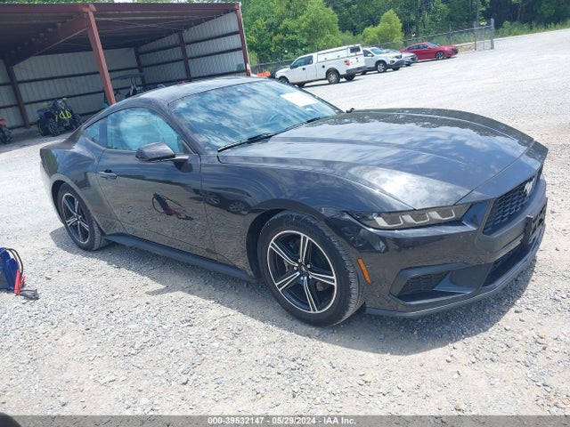 Ford Mustang Ecoboost Fastback 2024 1FA6P8TH9R5106801 Image 13