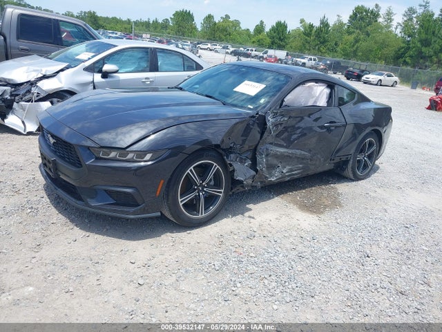 Ford Mustang Ecoboost Fastback 2024 1FA6P8TH9R5106801 Image 2