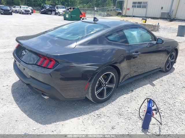 Ford Mustang Ecoboost Fastback 2024 1FA6P8TH9R5106801 Image 4