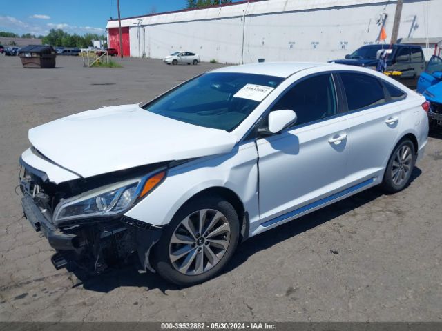 5NPE34AF1FH232075 Hyundai Sonata Sport