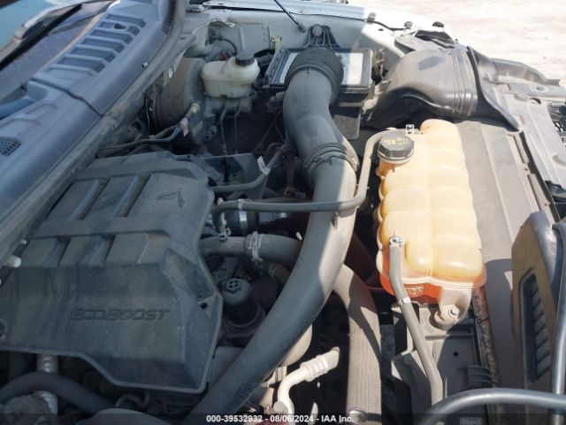 1FTEW1CP7GKF06829 Ford F-150 Xlt