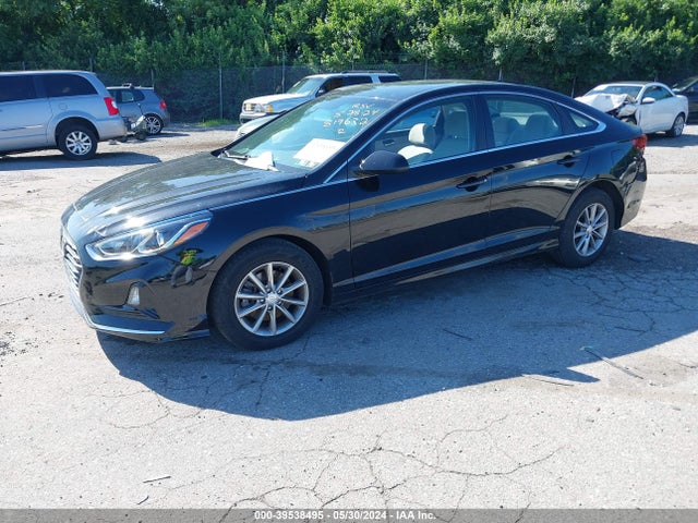 Hyundai SONATA SE 2019 5NPE24AFXKH819632 Image 2
