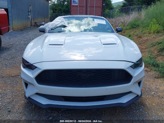 Ford Mustang Ecoboost Fastback 2022 1FA6P8TH7N5110176 Image 13