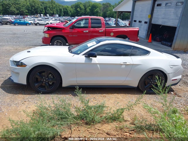 Ford Mustang Ecoboost Fastback 2022 1FA6P8TH7N5110176 Image 15
