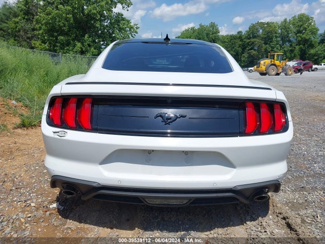 Ford Mustang Ecoboost Fastback 2022 1FA6P8TH7N5110176 Image 17