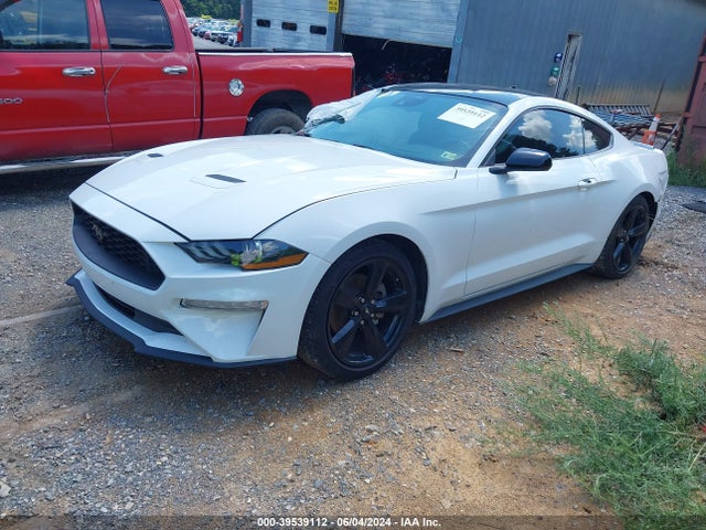 Ford Mustang Ecoboost Fastback 2022 1FA6P8TH7N5110176 Image 2