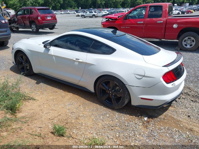 Ford Mustang Ecoboost Fastback 2022 1FA6P8TH7N5110176 Image 3