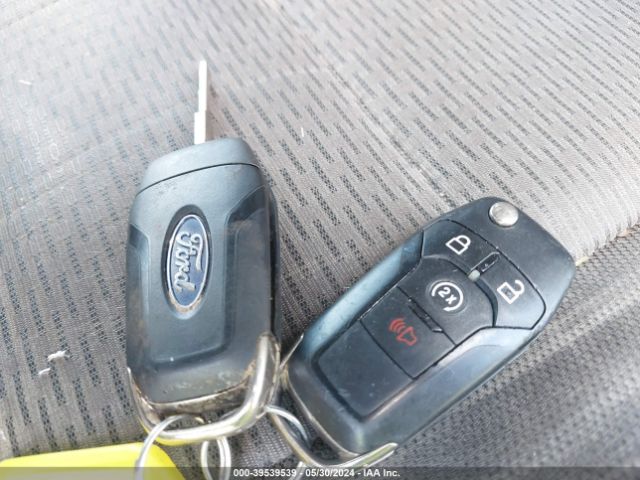 1FTEW1E41LFC80549 Ford F-150 Xlt